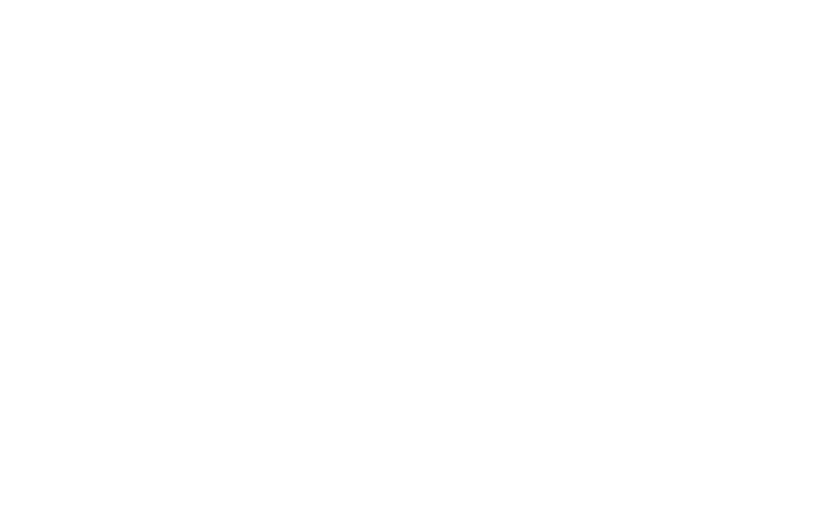 Büto für Erstaunliches